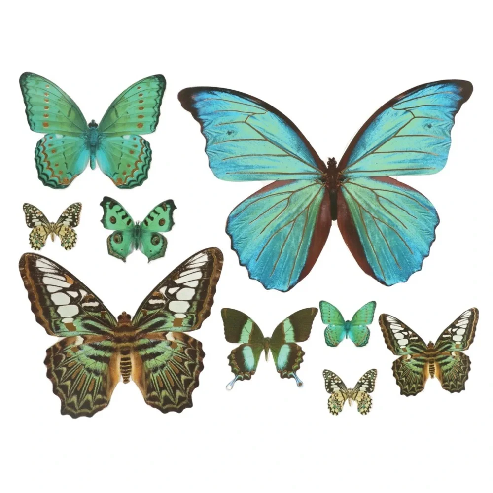 Floral Garden Butterfly Die Cuts w/Foil Accents, 99 pcs (3 Colors - 33 pcs ea)